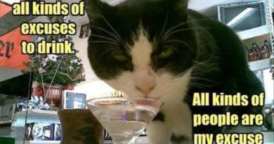 Excuses To Drink - Cat humor