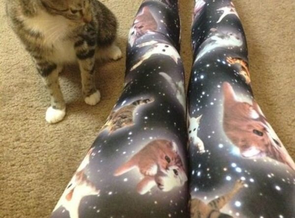 I Should Buy A Spaceship - Cat humor