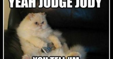 Yeah Judge Judy - Cat humor