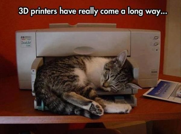 3D Printers Really Came A Long Way... - Cat humor
