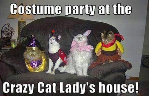 Costume Party - Cat humor