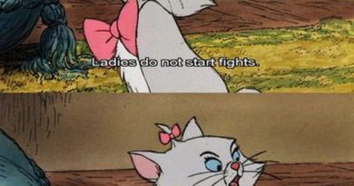 Ladies Do Not Start Fights - Cat humor