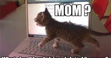 Mom? What Does This Mean? - Cat humor