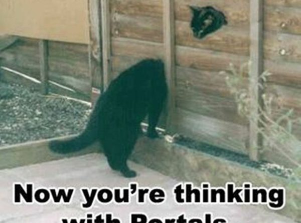 Now you're thinking with portals - Cat humor