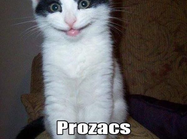 Prozacs - Cat humor