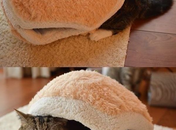 Cat Burger - Cat humor