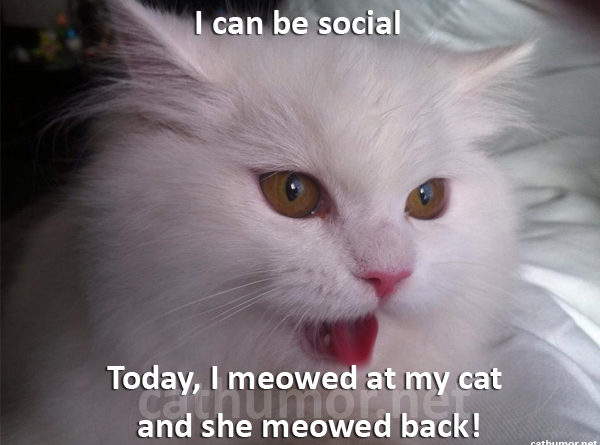 I can be social - Cat humor