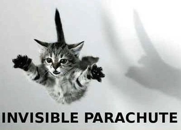 Invisible Parachute - Cat humor