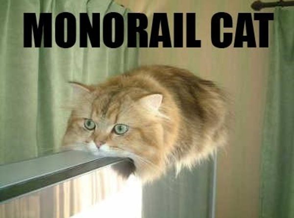 Monorail Cat - Cat humor
