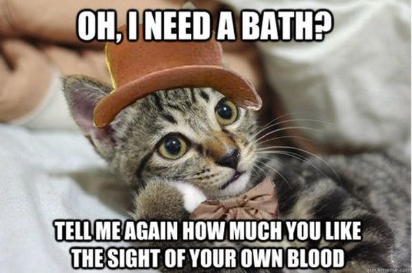 Oh! I Need A Bath? - Cat humor