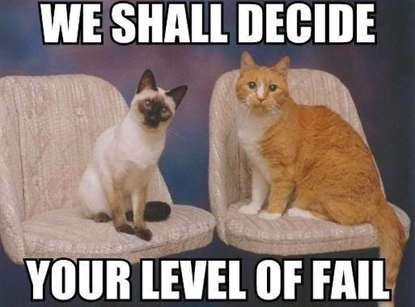 We Shall Decide - Cat humor