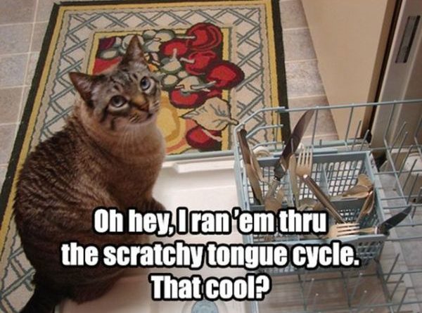 Scratchy Tongue Cycle - Cat humor