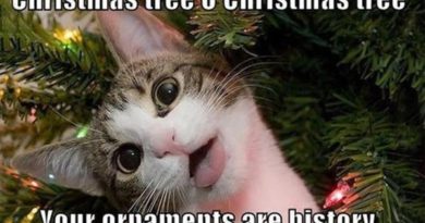 Christmas Tree O Christmas Tree... - Cat humor