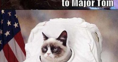 Ground Control To Major Tom - Cat humor