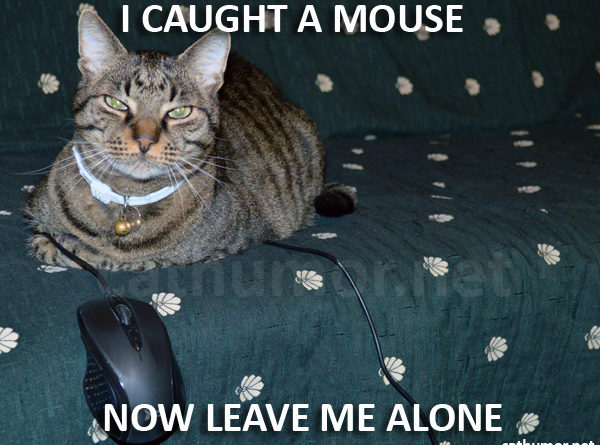 I Caught A Mouse - Cat humor