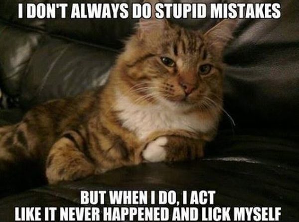 I Don't Always Do Stupid Mistakes - Cat humor