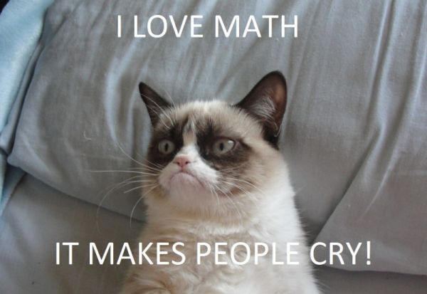 I Love Math - Cat humor