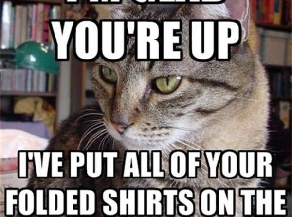 I'm Glad You're Up - Cat humor