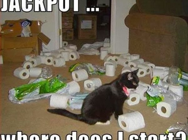 Jackpot - Cat humor