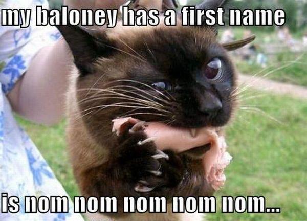 My Baloney Has A First Name - Cat humor