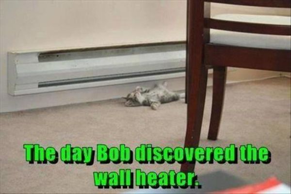 This Wall Heater Is So Cool - Cat humor