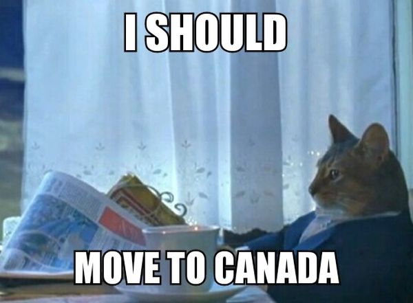 I Should Move To Canada - Cat humor